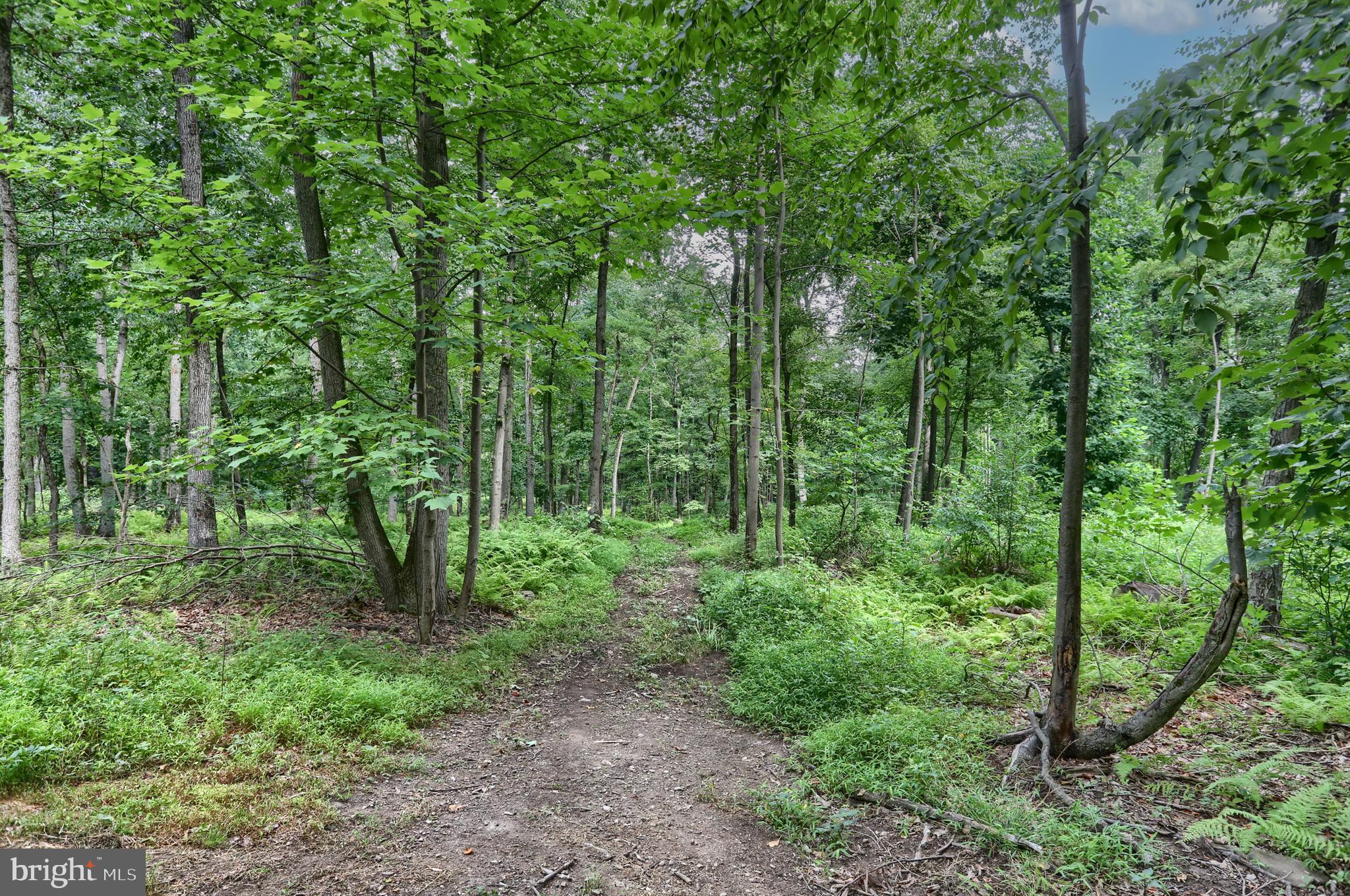 CONEWAGO TOWNSHIP - Residential