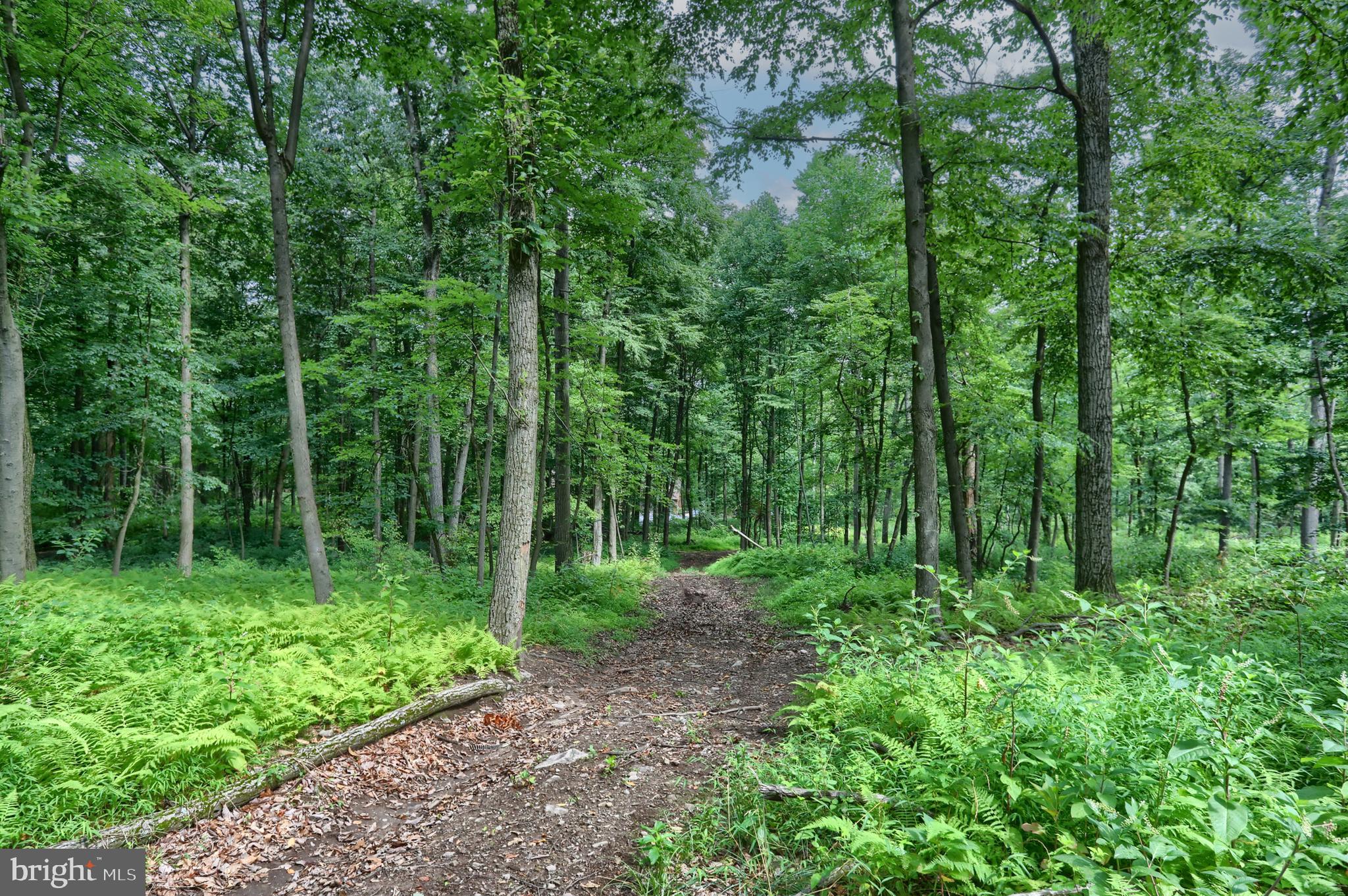 CONEWAGO TOWNSHIP - Residential