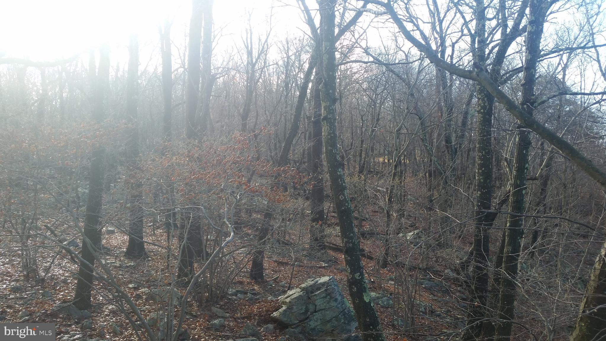 POTOMAC VALLEY VISTA - Residential