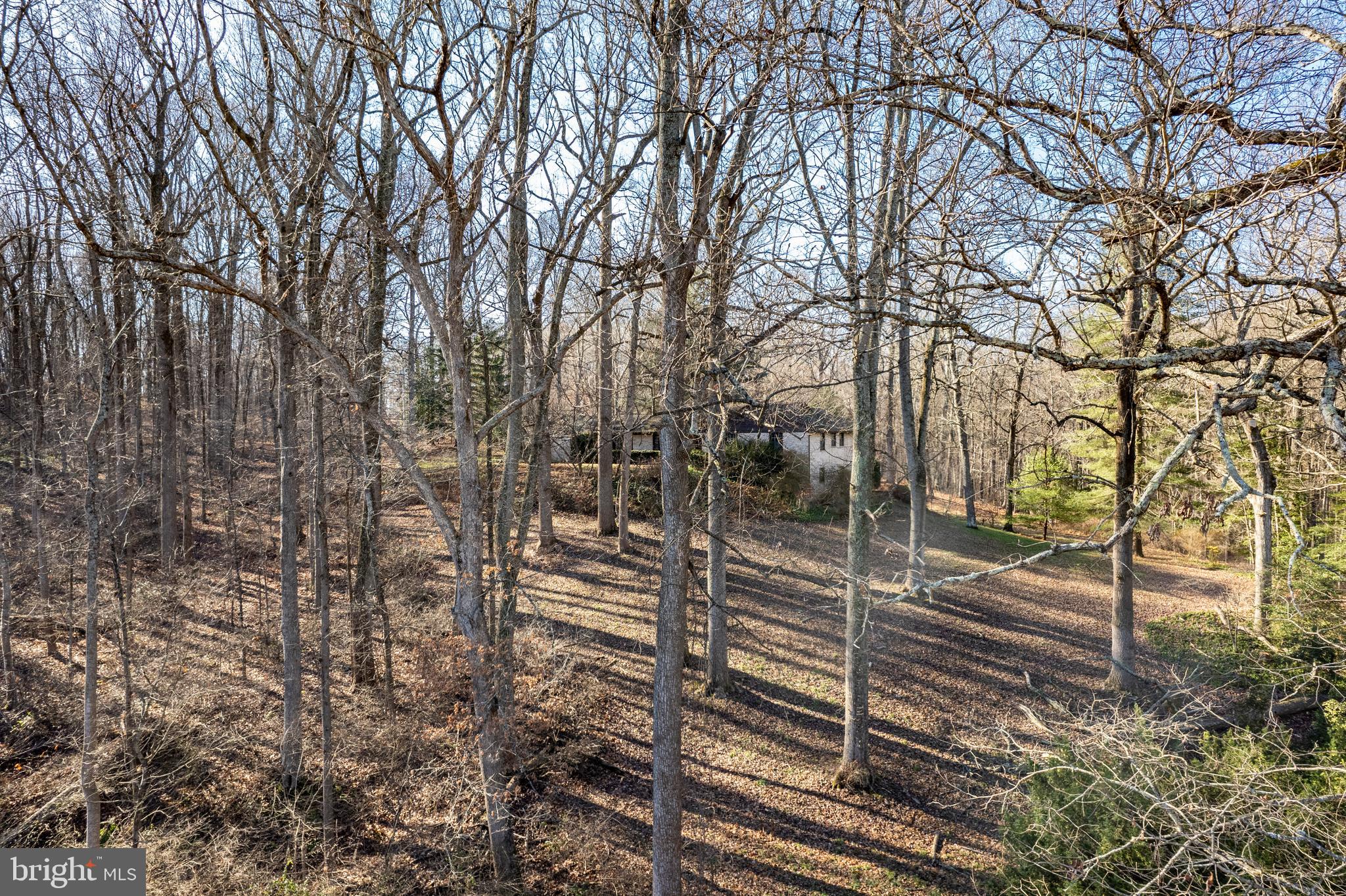 BROOKEVILLE - Residential