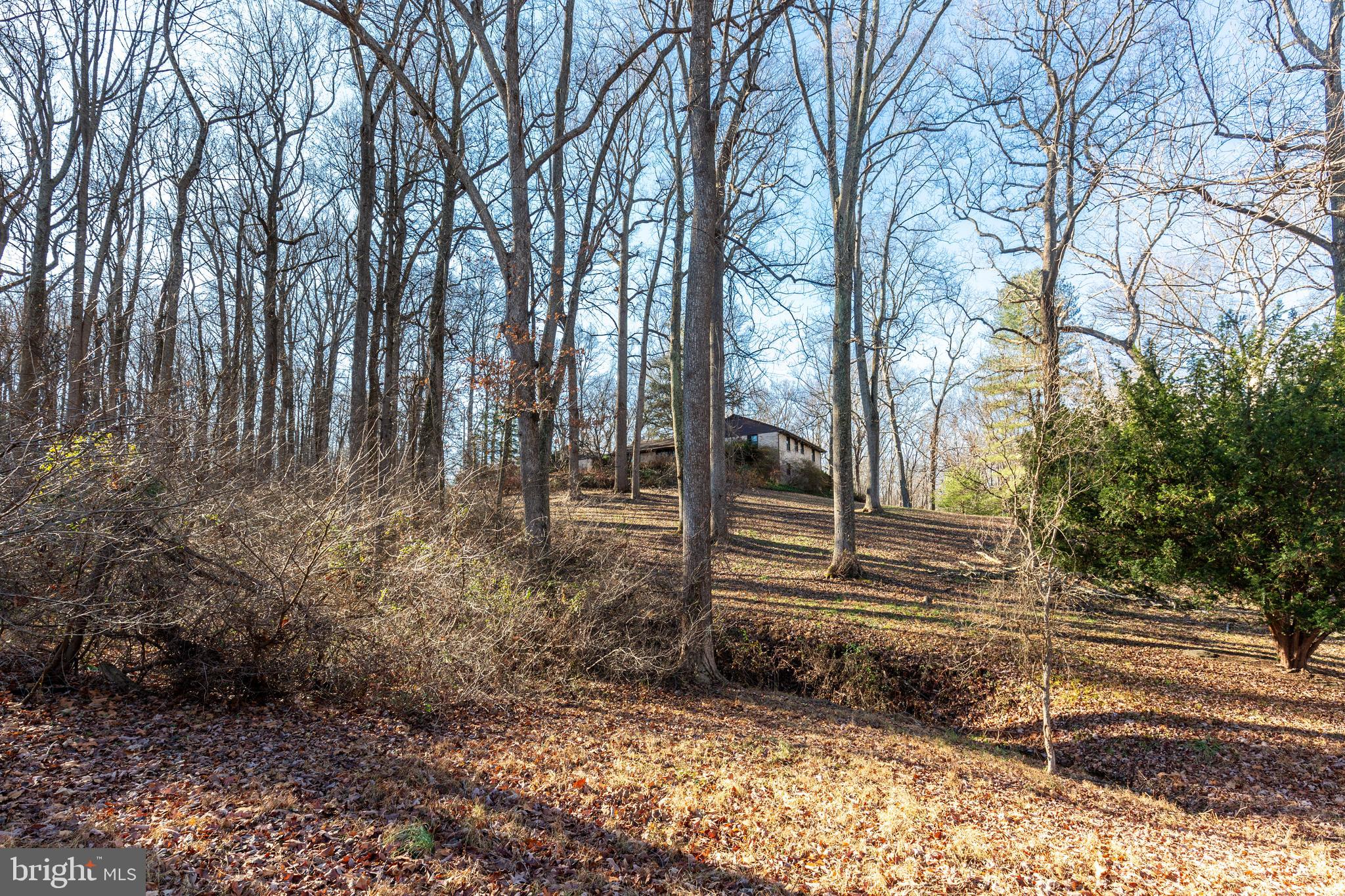 BROOKEVILLE - Residential