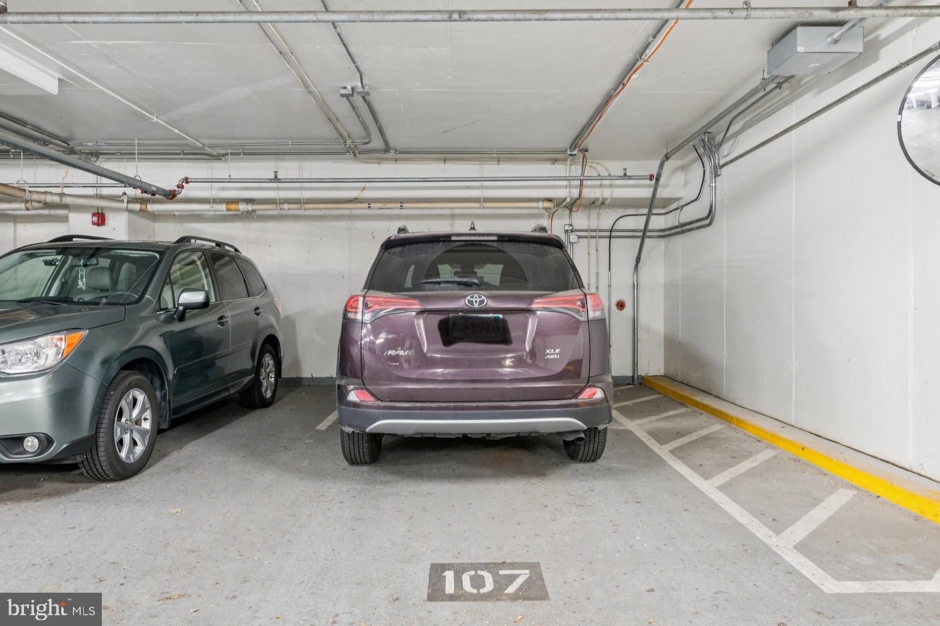 PIKE AND ROSE - Residential