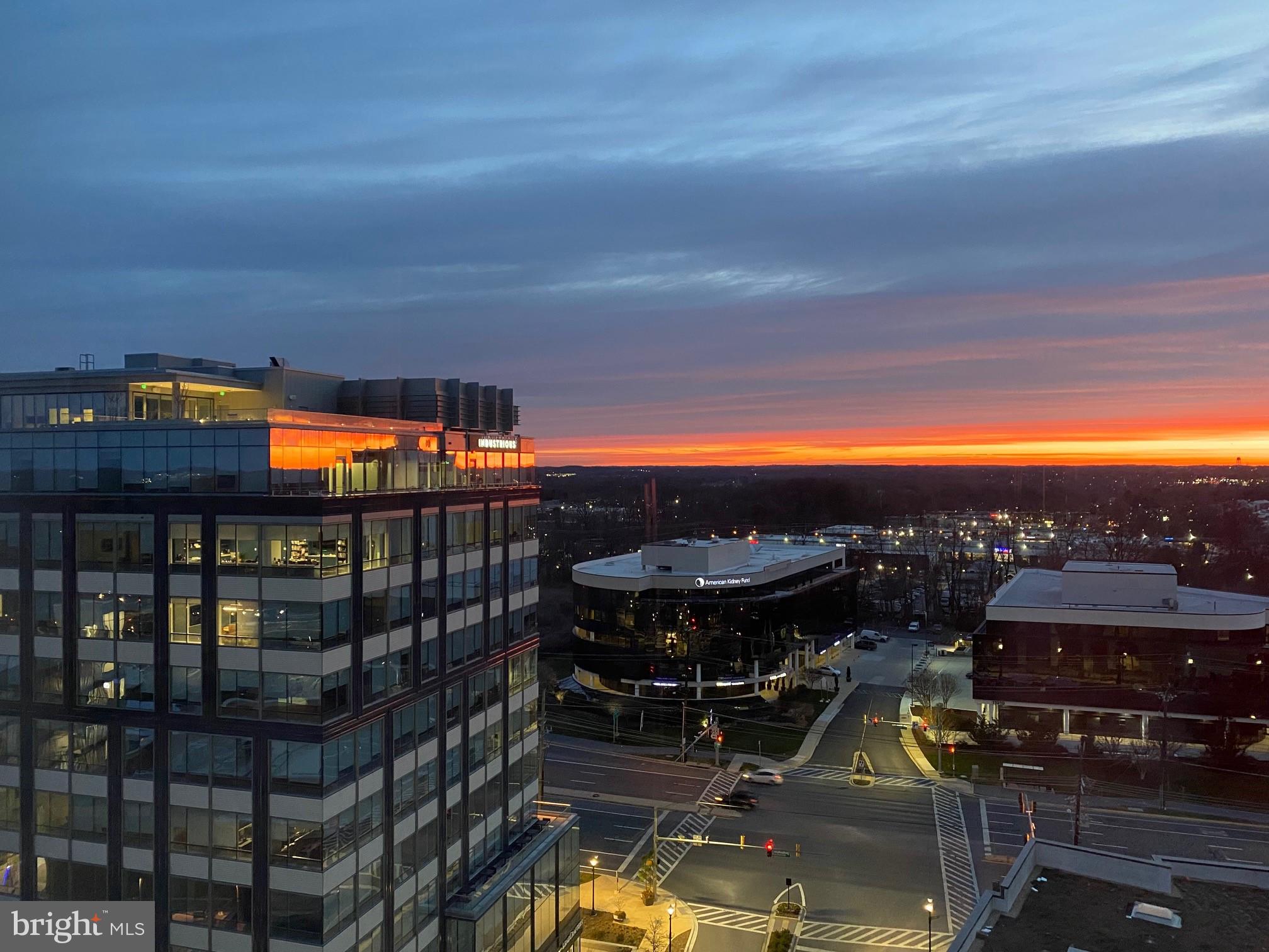 PIKE AND ROSE - Residential