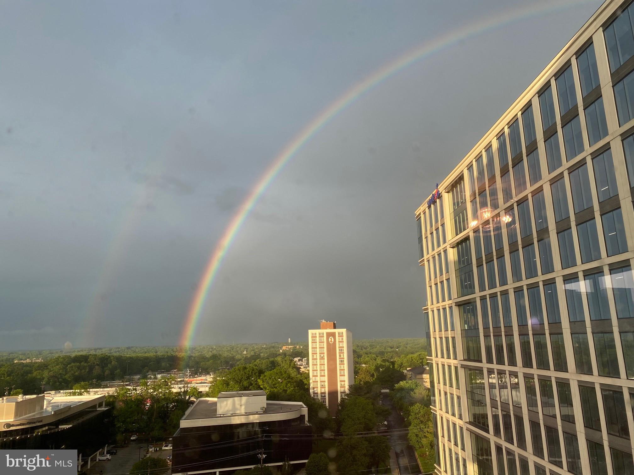 PIKE AND ROSE - Residential