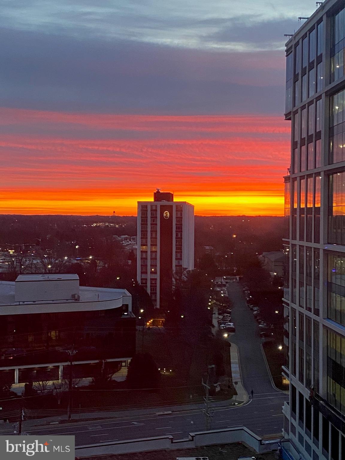 PIKE AND ROSE - Residential