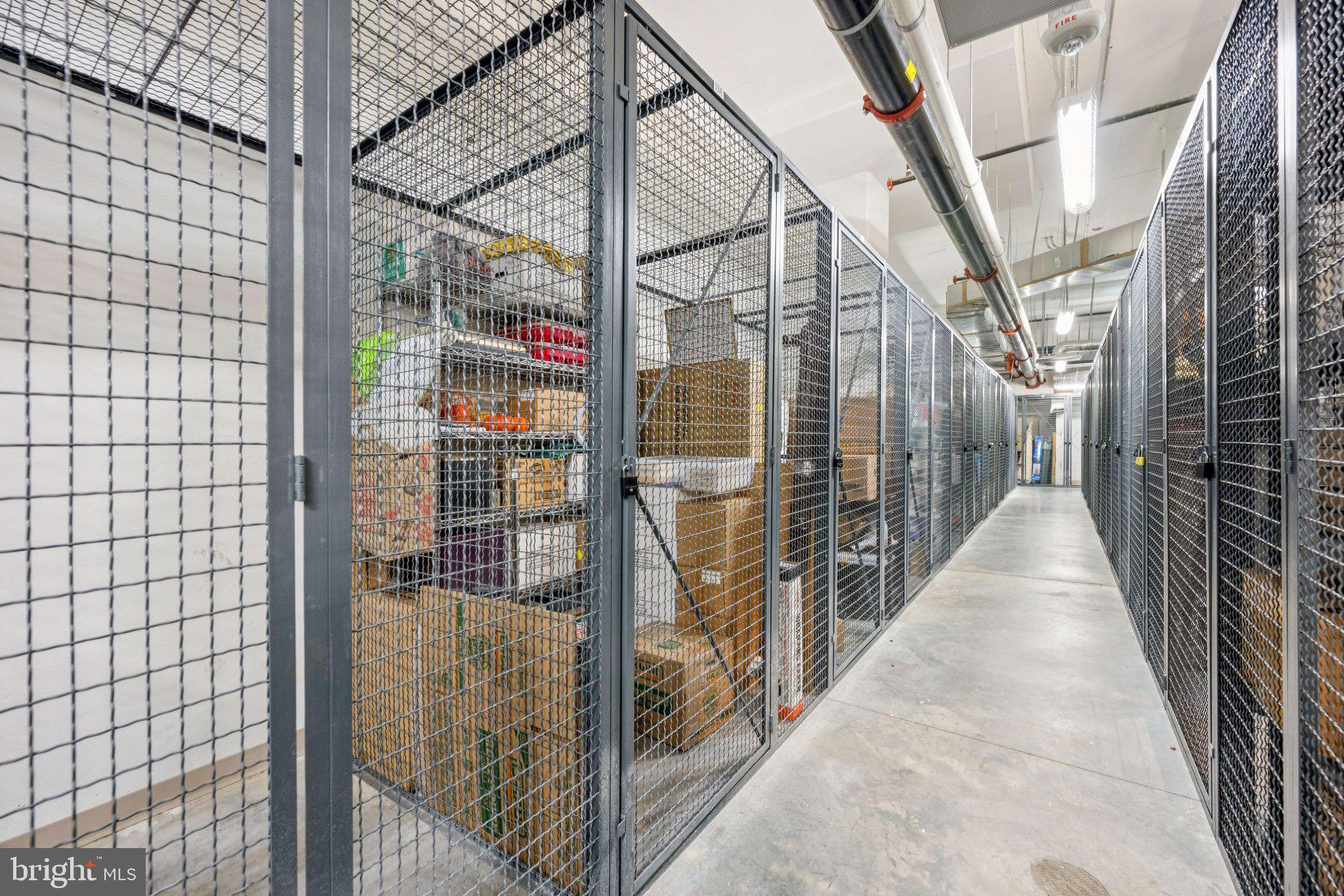 PIKE AND ROSE - Residential