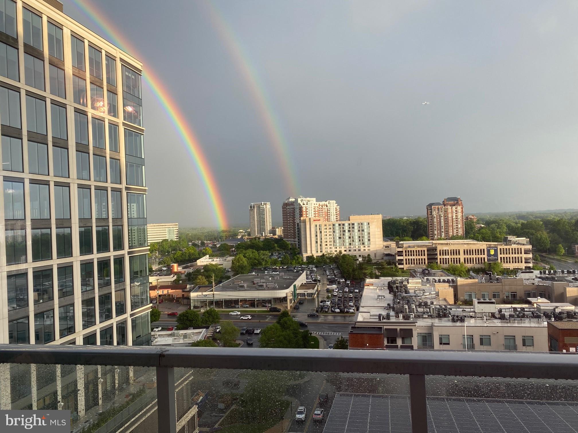 PIKE AND ROSE - Residential