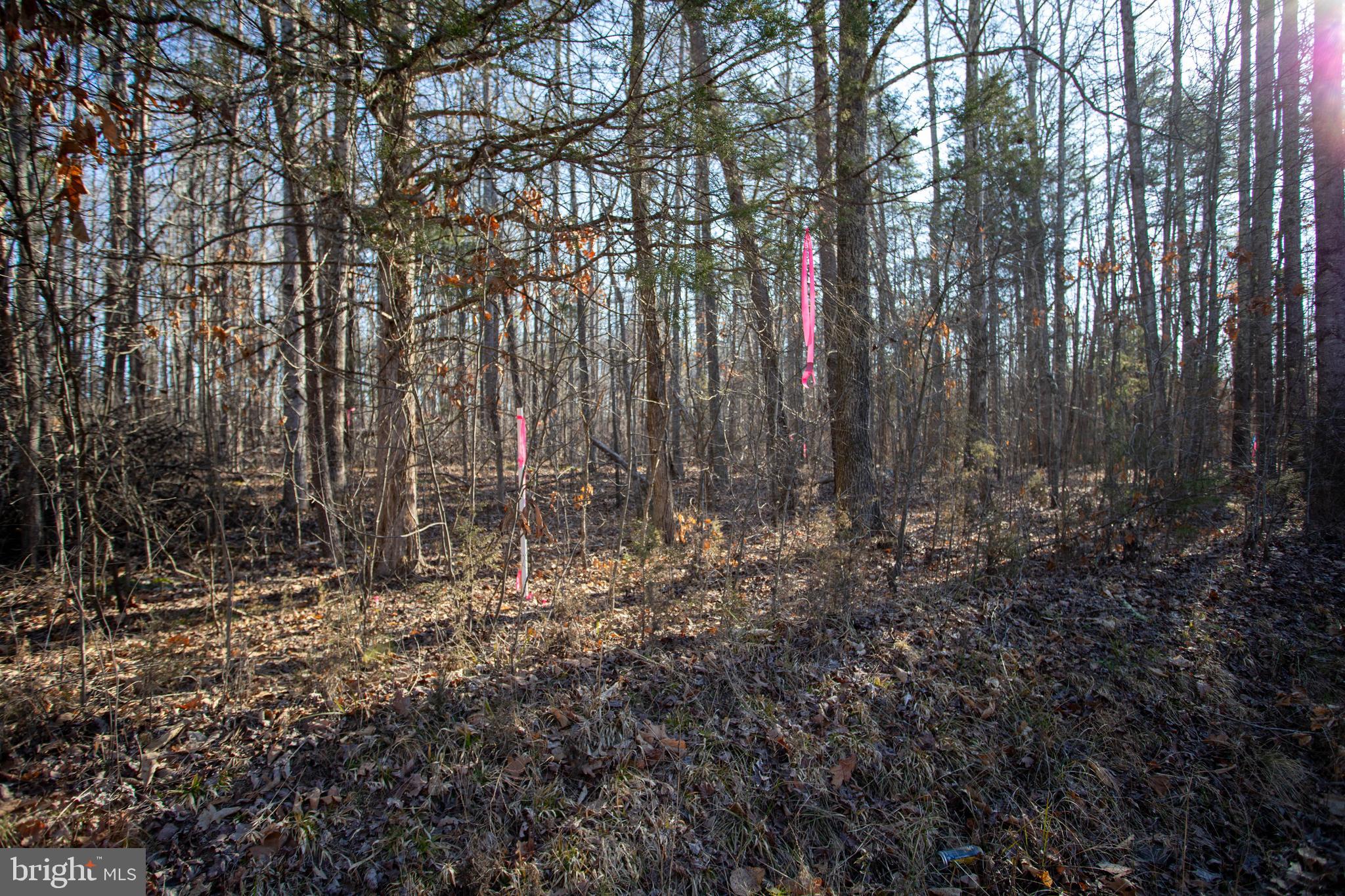 TBD PETERSVILLE ROAD LOT 5