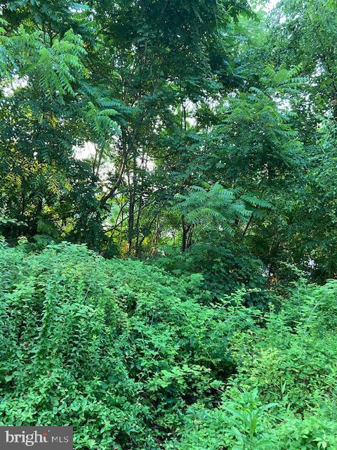 SUNRISE BEACH - Land