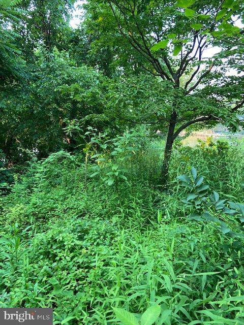 SUNRISE BEACH - Land