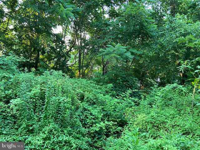 SUNRISE BEACH - Land