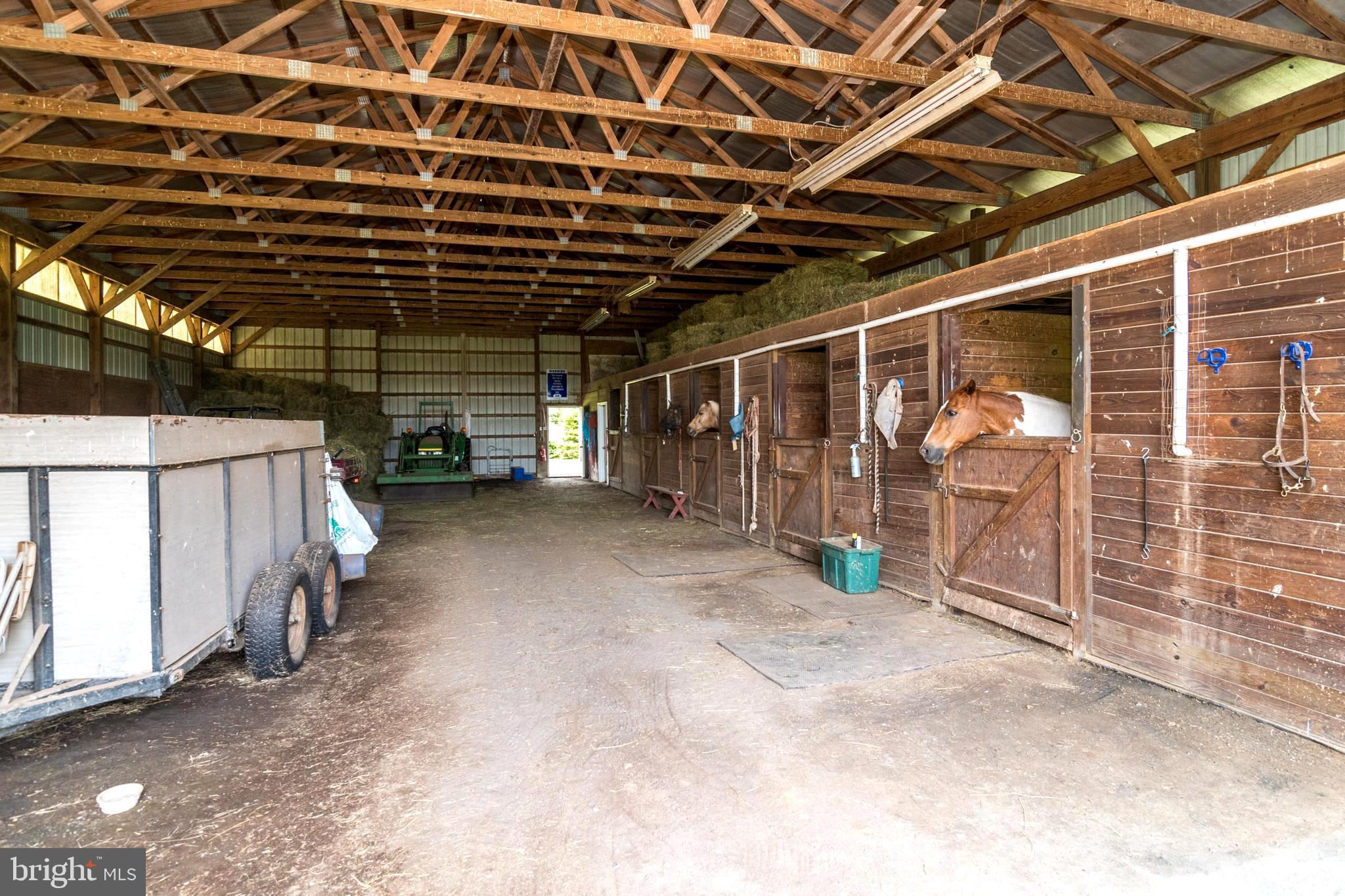 NONE AVAILABLE - Farm