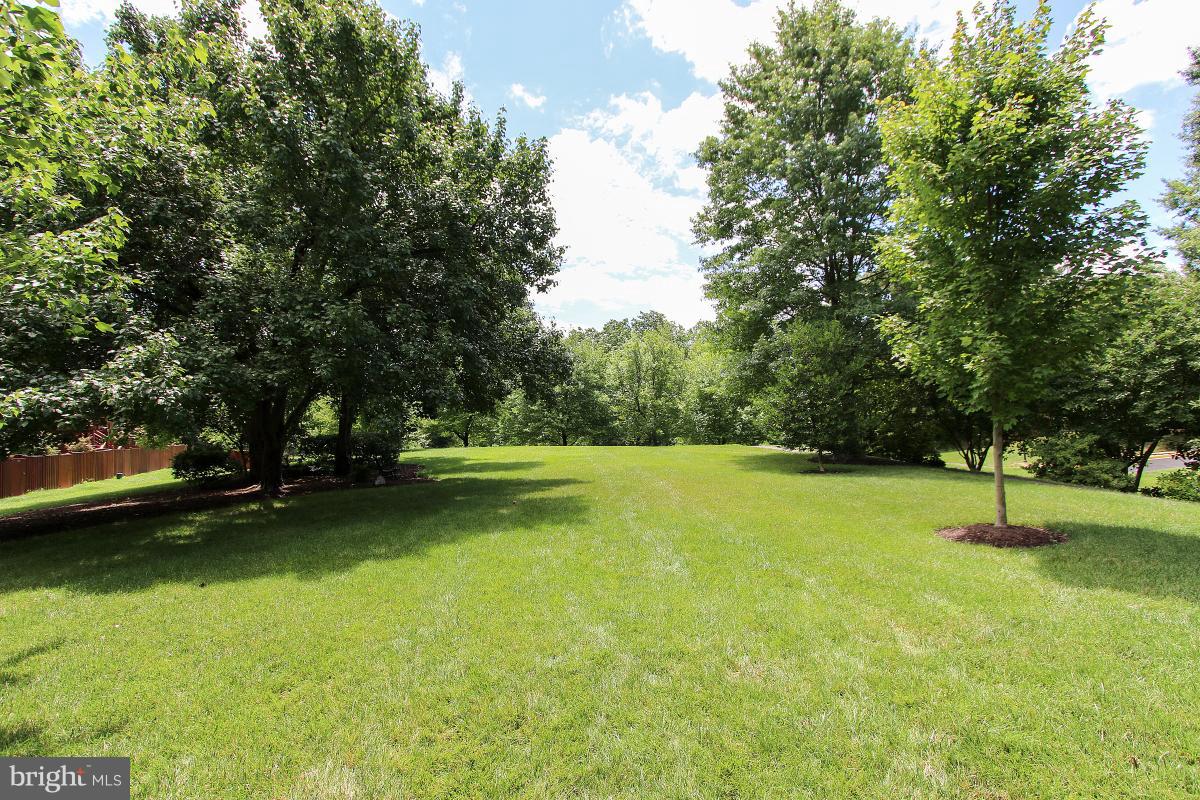 LANDMARK MEWS - Residential