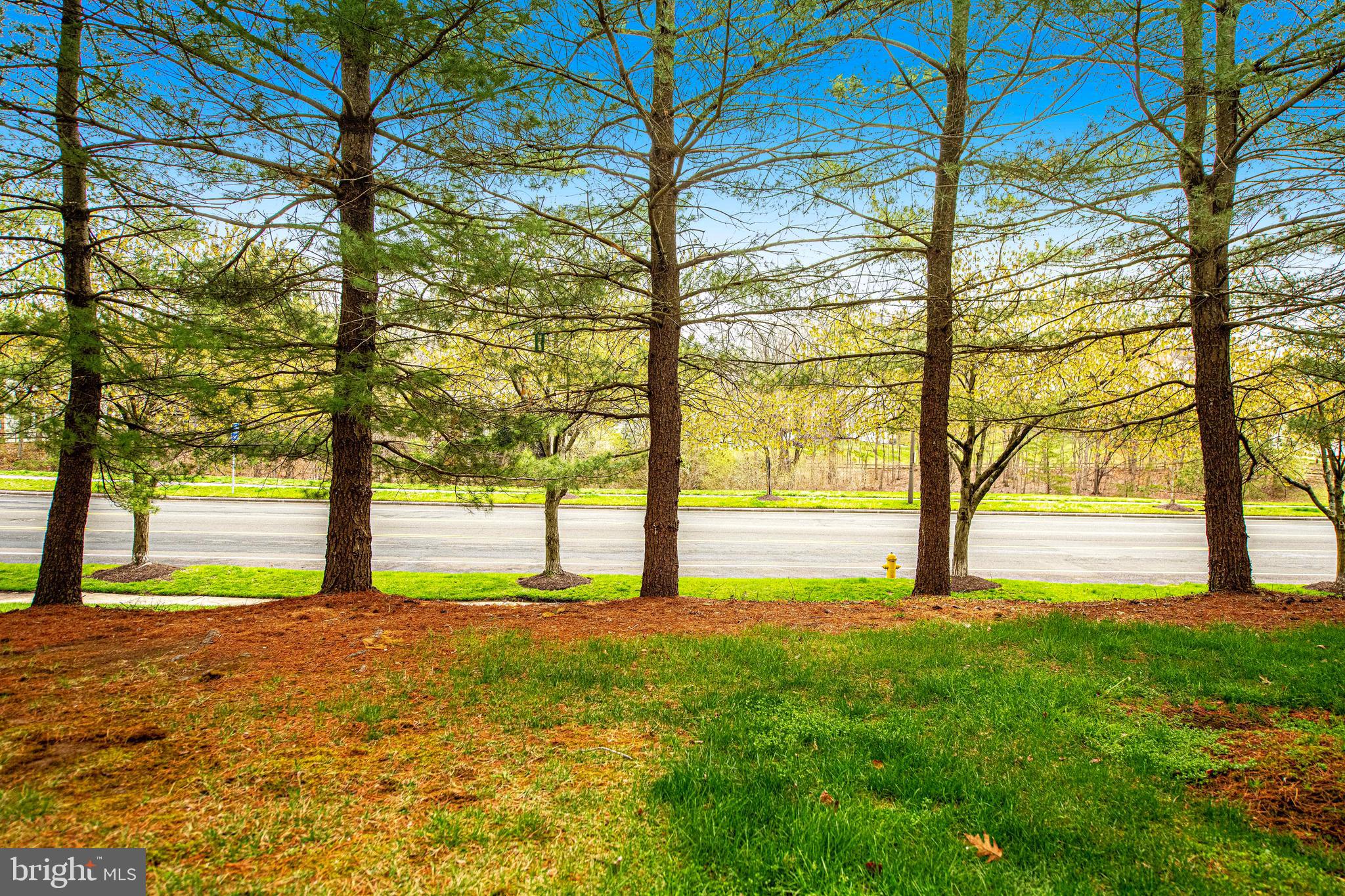 PINEY ORCHARD - Residential