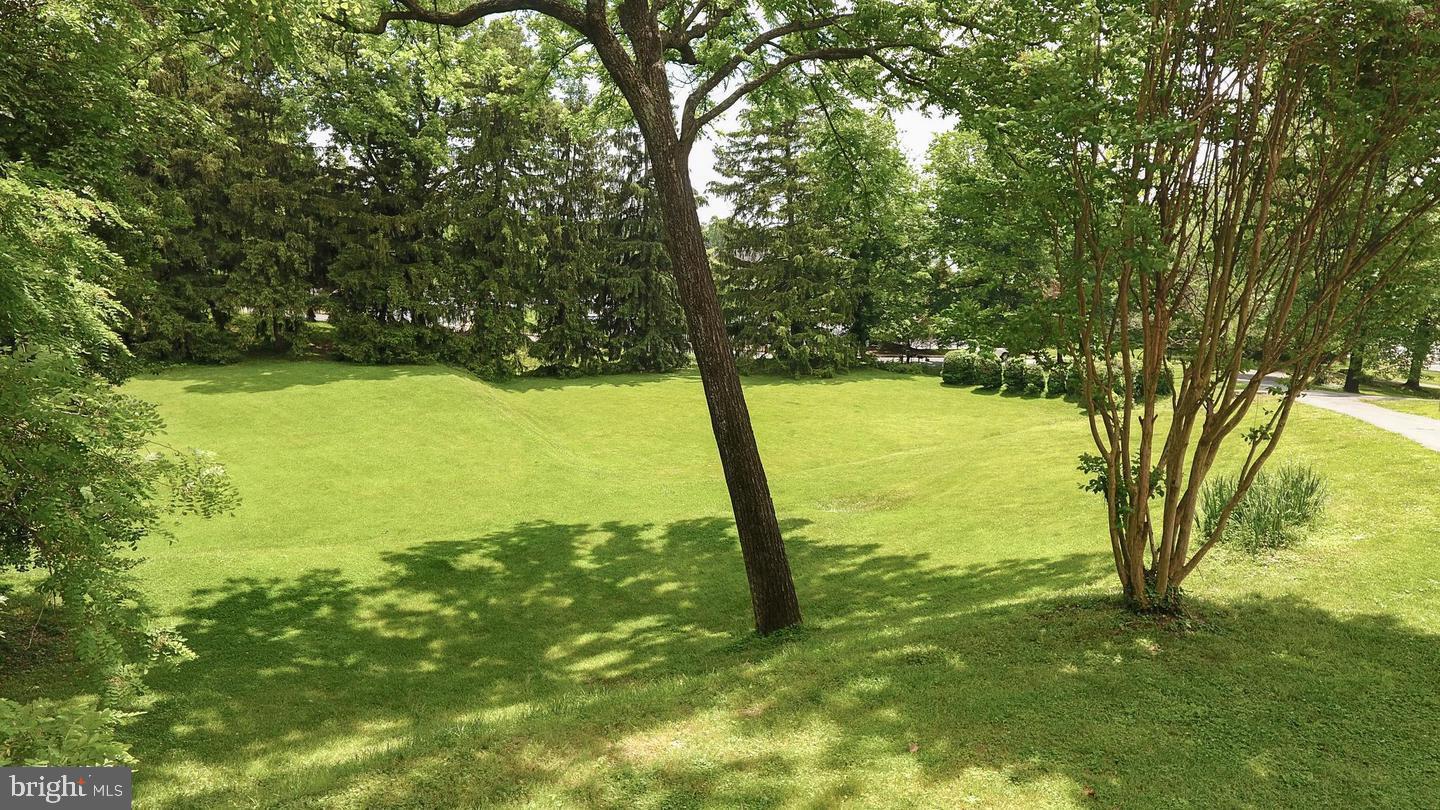 HISTORIC DOWNTOWN WINCHESTER - Residential