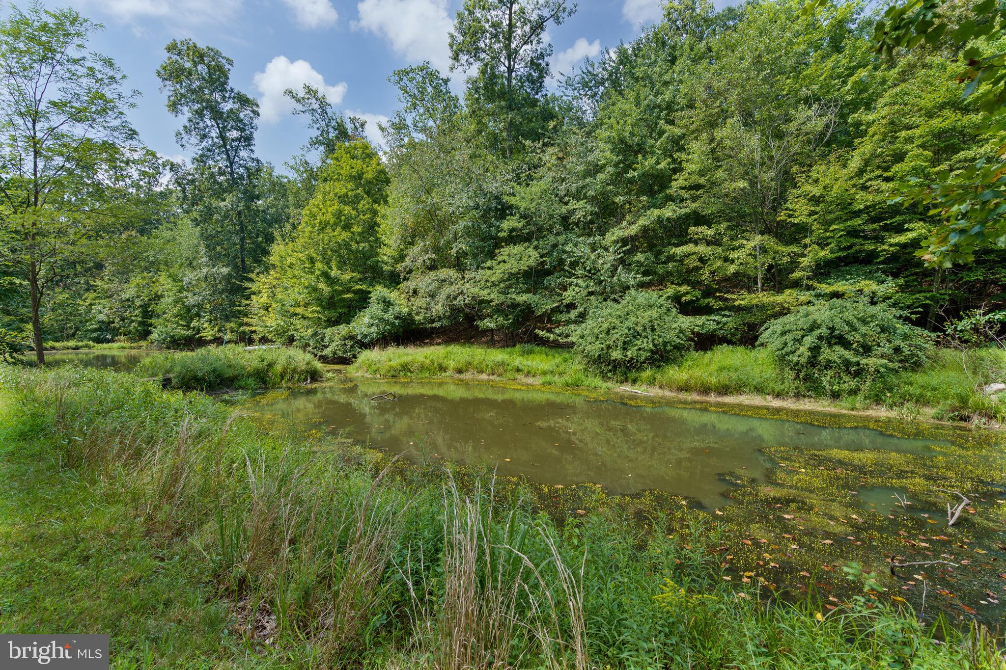 COUNTRY ACRES - Residential