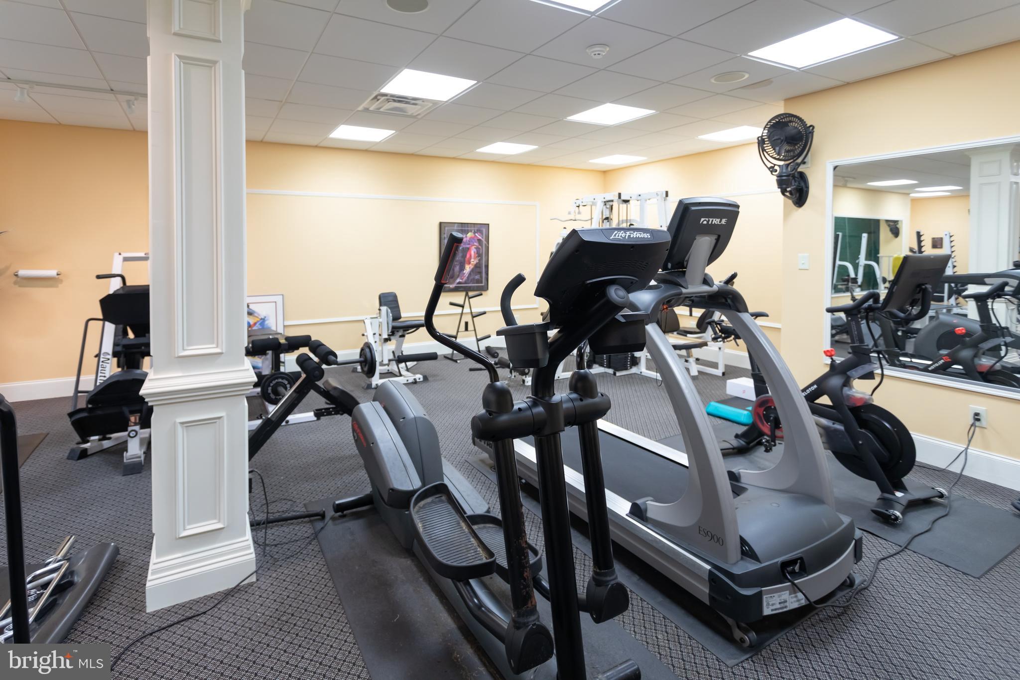 RADNOR SQUARE - Residential