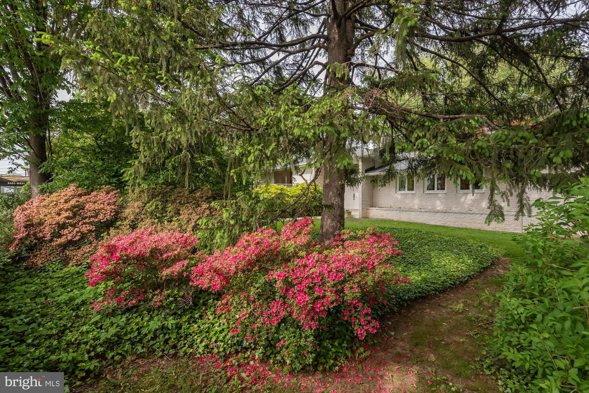 CHEVY CHASE - Residential