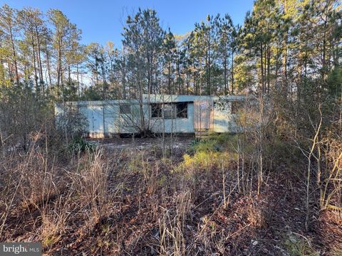 2525 TODDVILLE ROAD TODDVILLE MD 21672