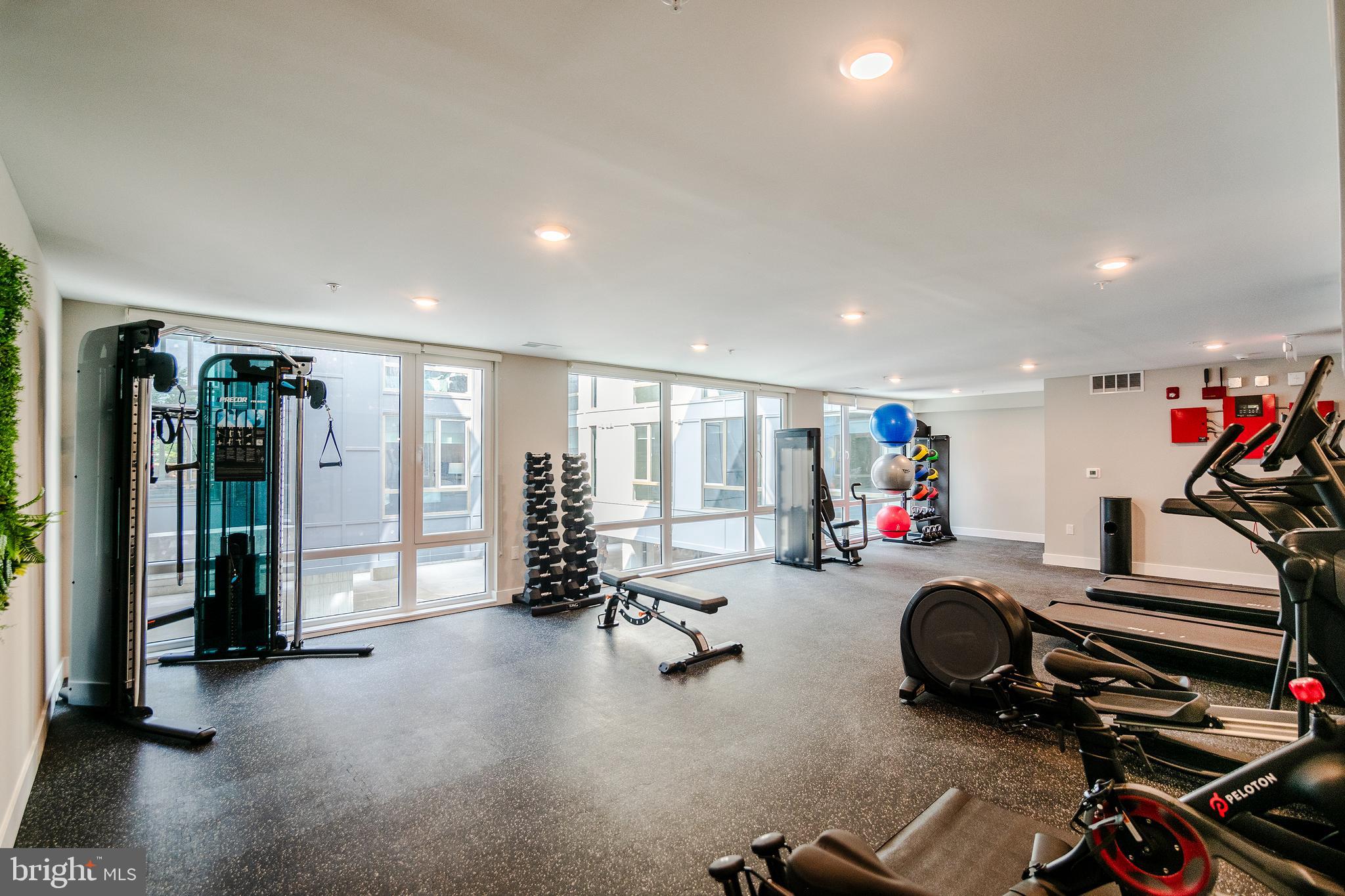 ROXBOROUGH - Residential Lease
