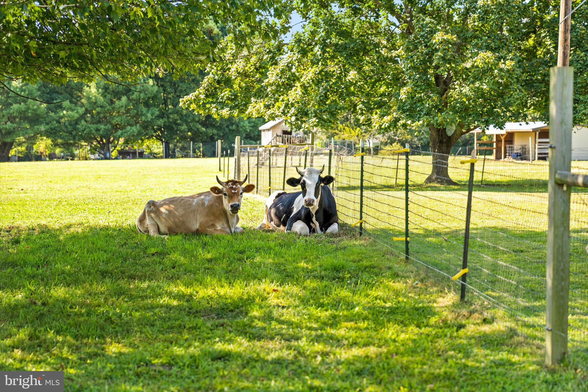 537 ARNEYTOWN-CHESTERFIELD ROAD