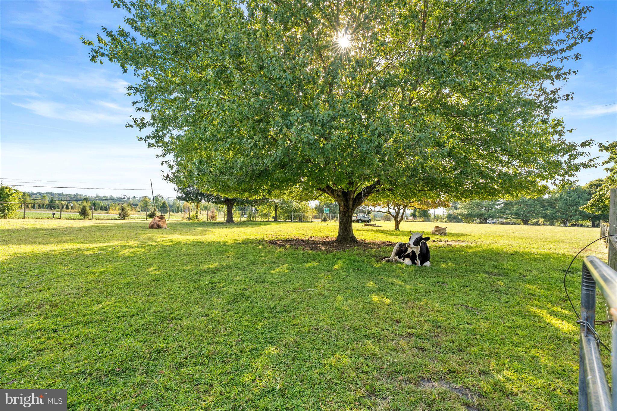 537 ARNEYTOWN-CHESTERFIELD ROAD