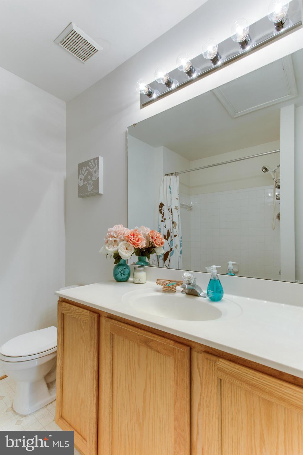 VISTAS AT MILESTONE - Residential