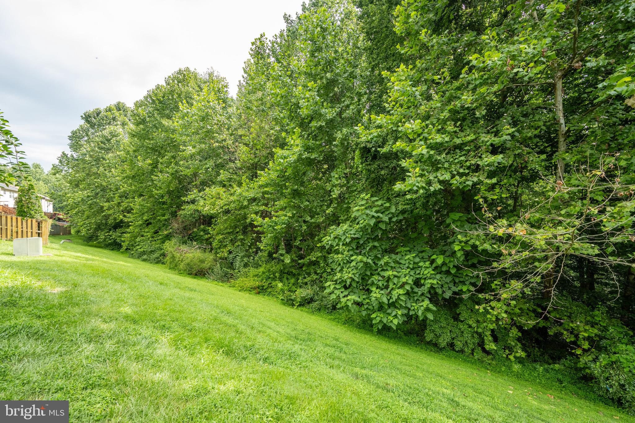 LAKE TERRAPIN/RIDGEFIELD - Residential