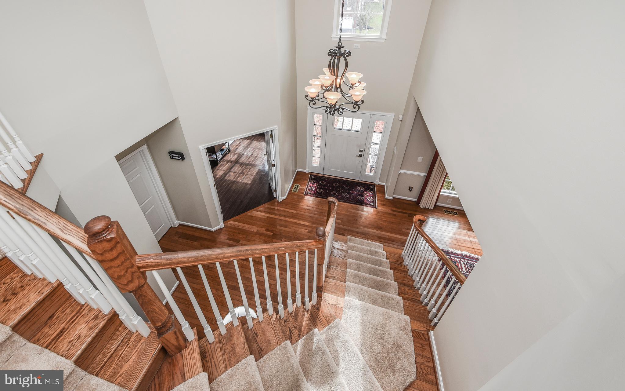 BUCKINGHAM FOREST - Residential