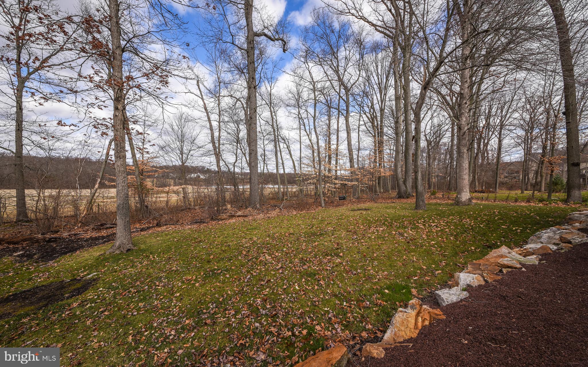 BUCKINGHAM FOREST - Residential