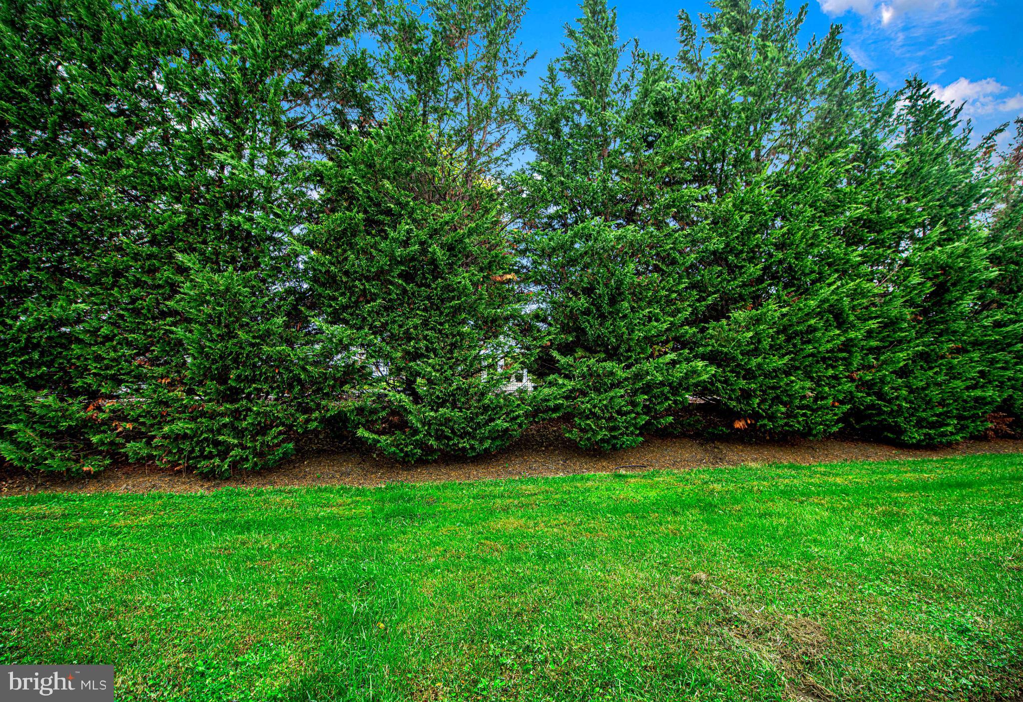 MILFORD MILL - Residential