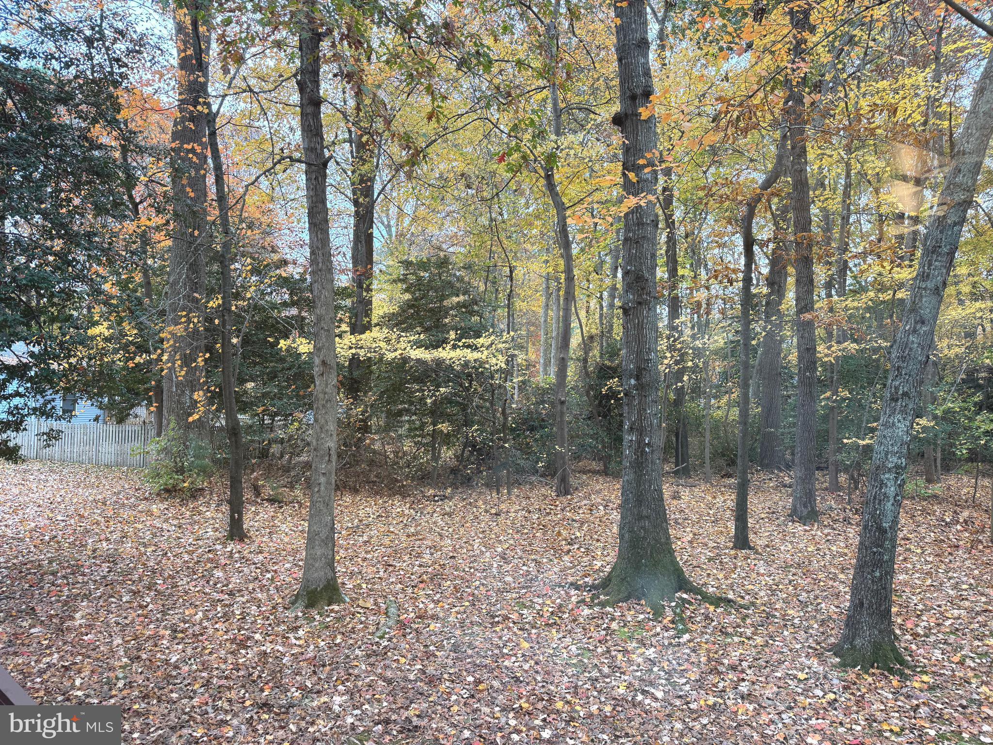 OCEAN PINES - SHERWOOD FOREST - Residential