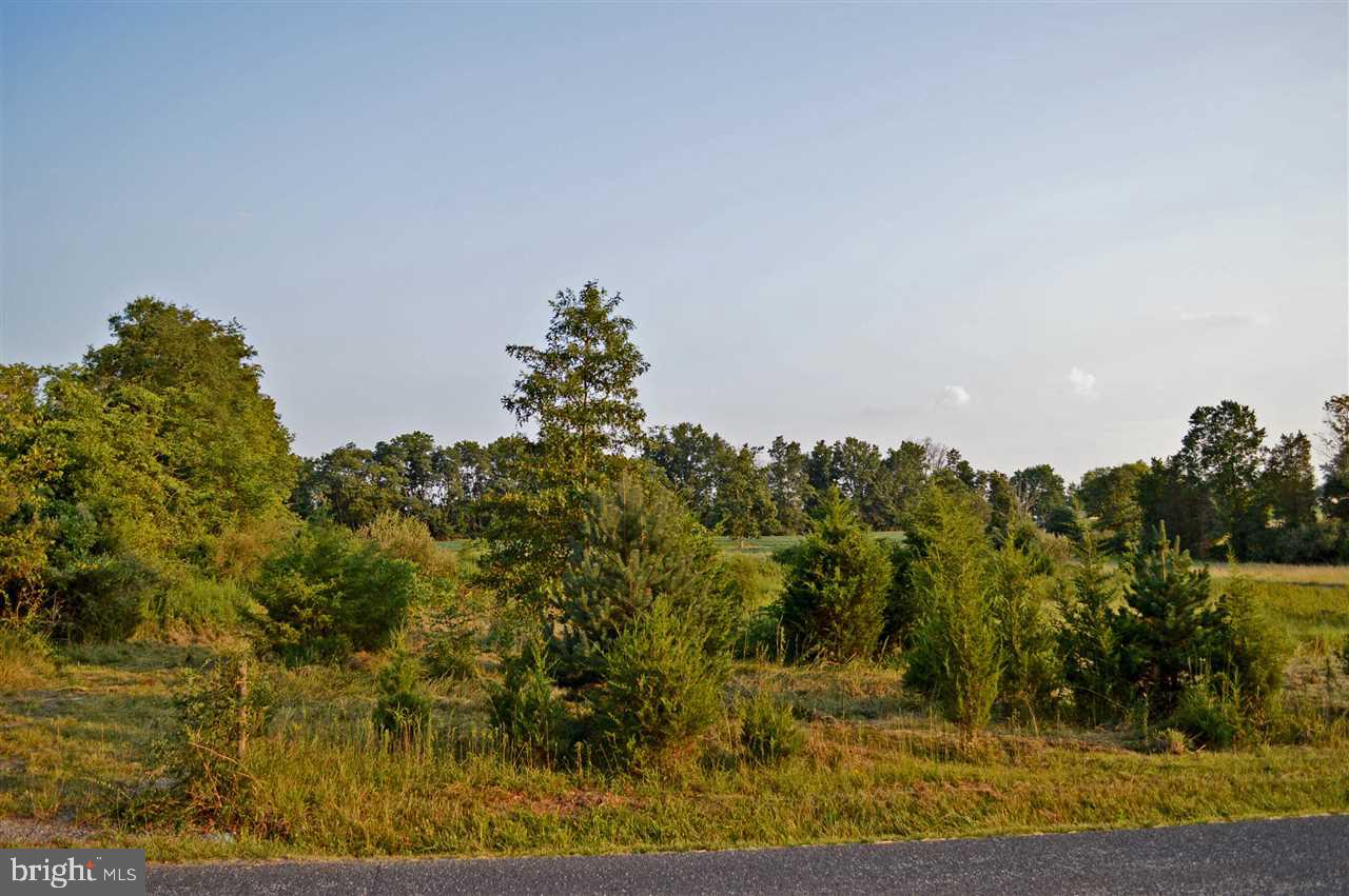 Perfect lot! Bring your builder! Natural wildlife and and privacy awaits! Level lot and nicely situated with approved driveway. Perc and probe complete with approved septic design.