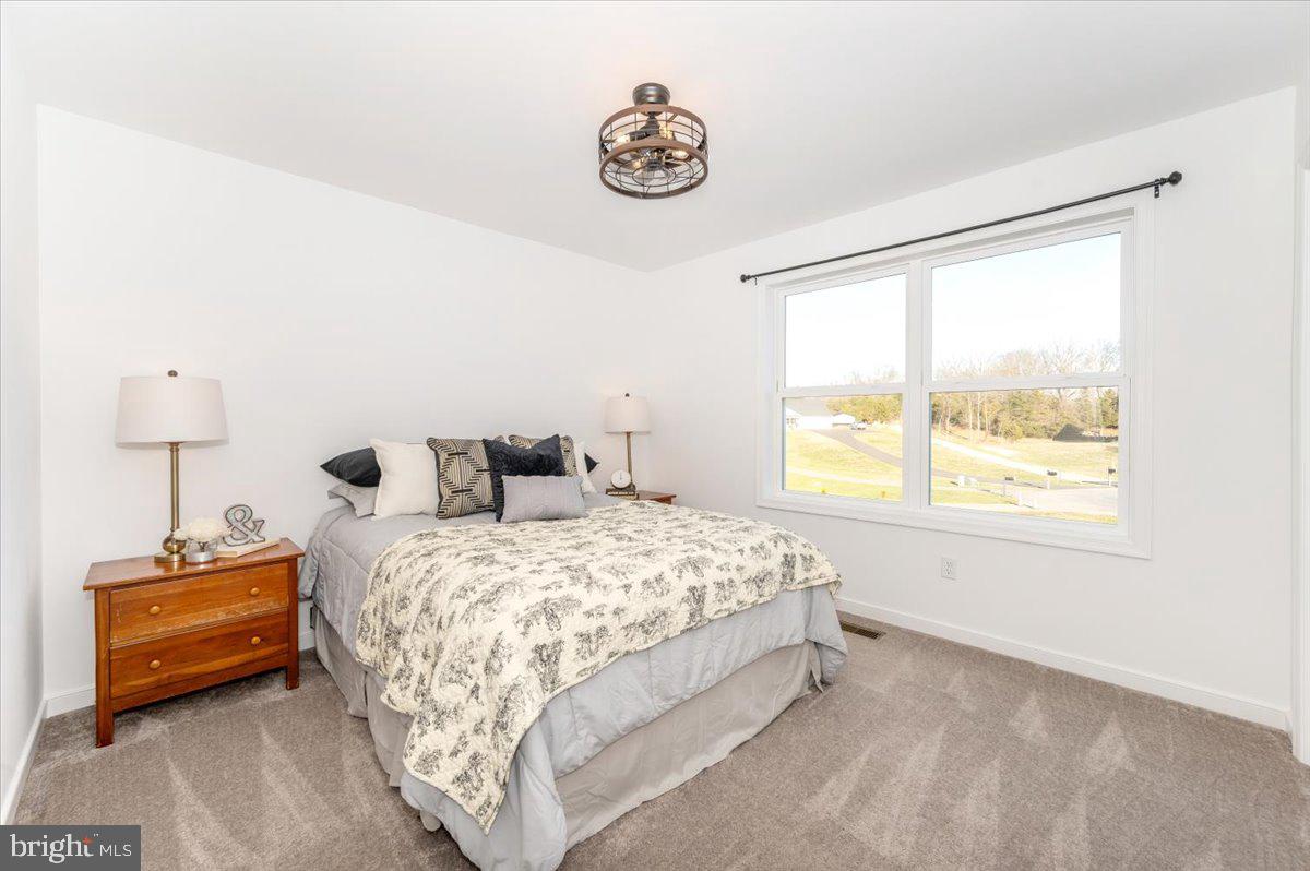 SHENANDOAH ESTATES - Residential