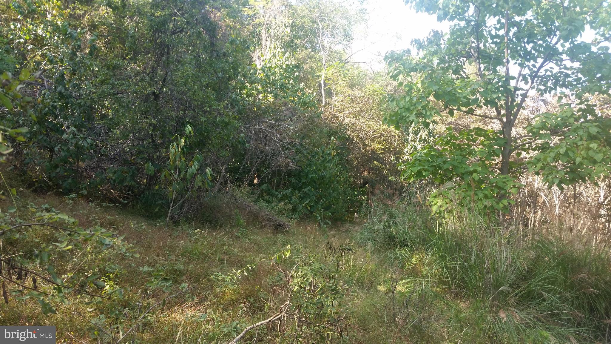 CACAPON HIGHLANDS - Land