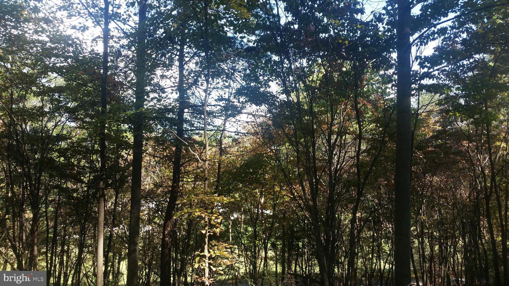 CACAPON HIGHLANDS - Land