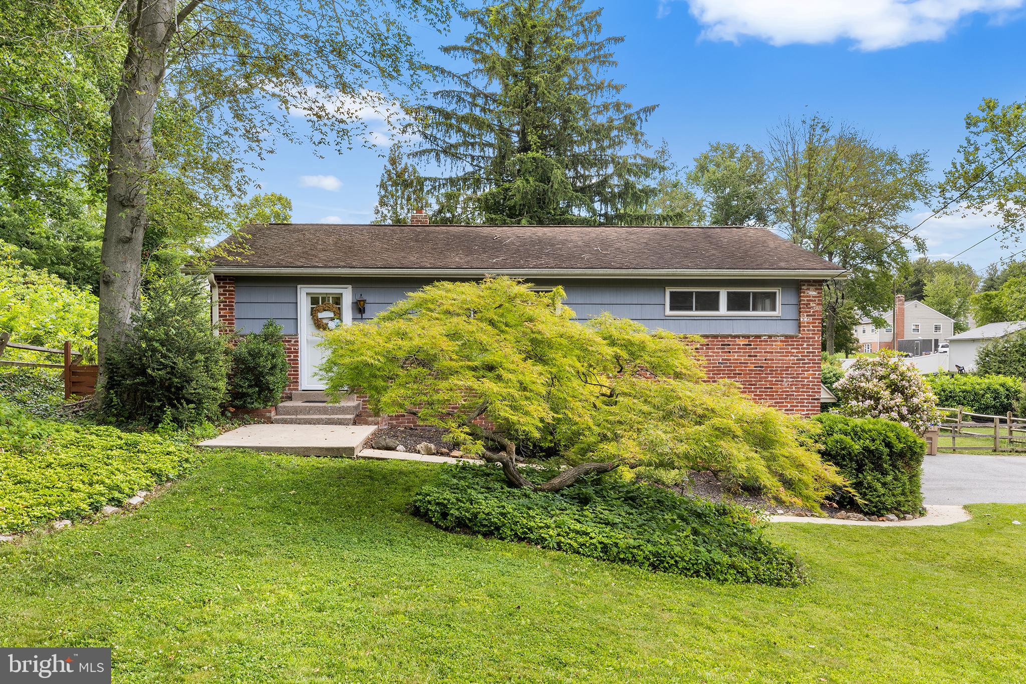 217 CHESTNUT