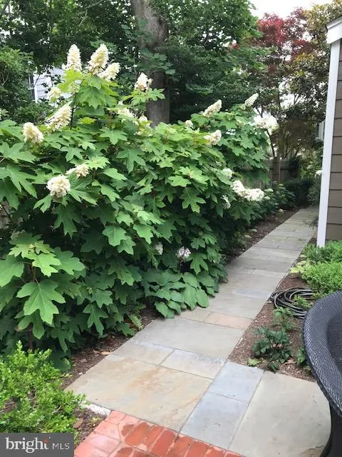 Lewes, Delaware 19958, United States, 4 Bedrooms Bedrooms, ,3 BathroomsBathrooms,Residential,Active,123071