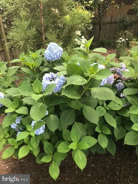 Lewes, Delaware 19958, United States, 4 Bedrooms Bedrooms, ,3 BathroomsBathrooms,Residential,Active,123071