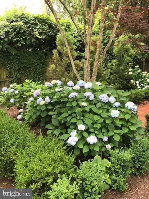 Lewes, Delaware 19958, United States, 4 Bedrooms Bedrooms, ,3 BathroomsBathrooms,Residential,Active,123071