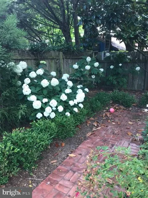 Lewes, Delaware 19958, United States, 4 Bedrooms Bedrooms, ,3 BathroomsBathrooms,Residential,Active,123071