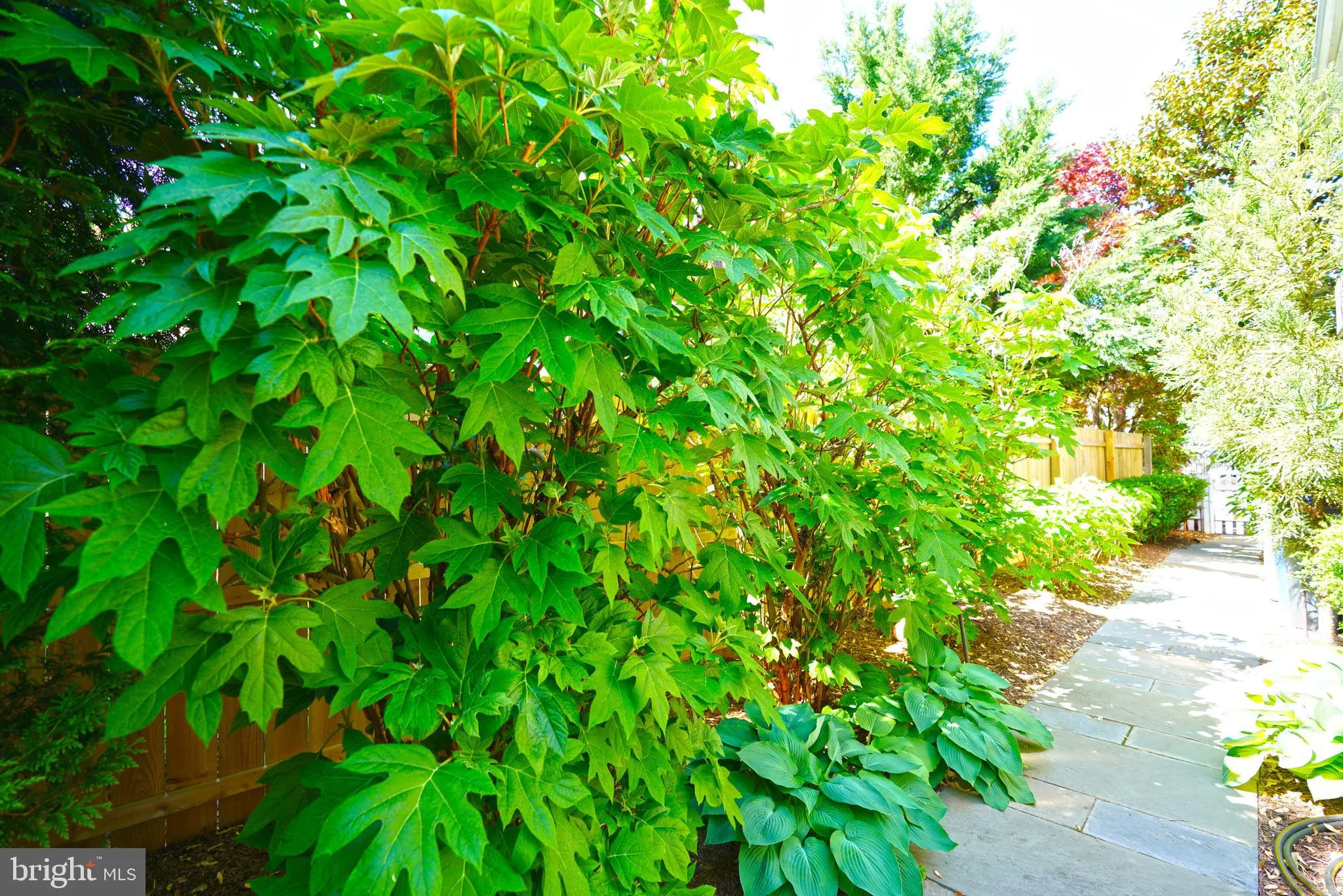 Lewes, Delaware 19958, United States, 4 Bedrooms Bedrooms, ,3 BathroomsBathrooms,Residential,Active,123071