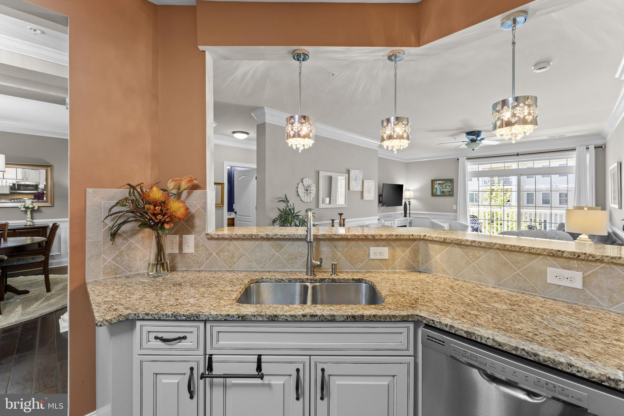 REGENCY AT DOMINION VALLEY - Residential