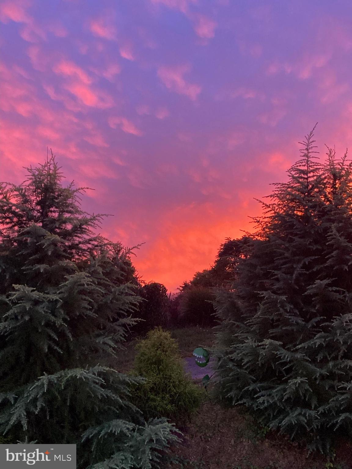 SWAN POND - Residential