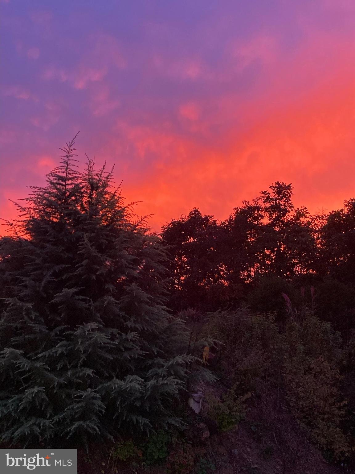 SWAN POND - Residential