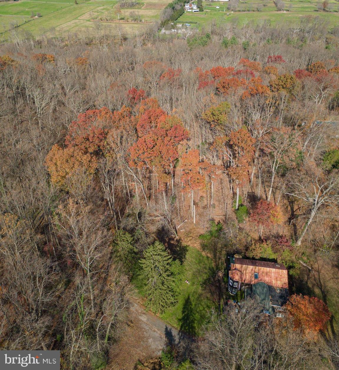 HILLSIDE
