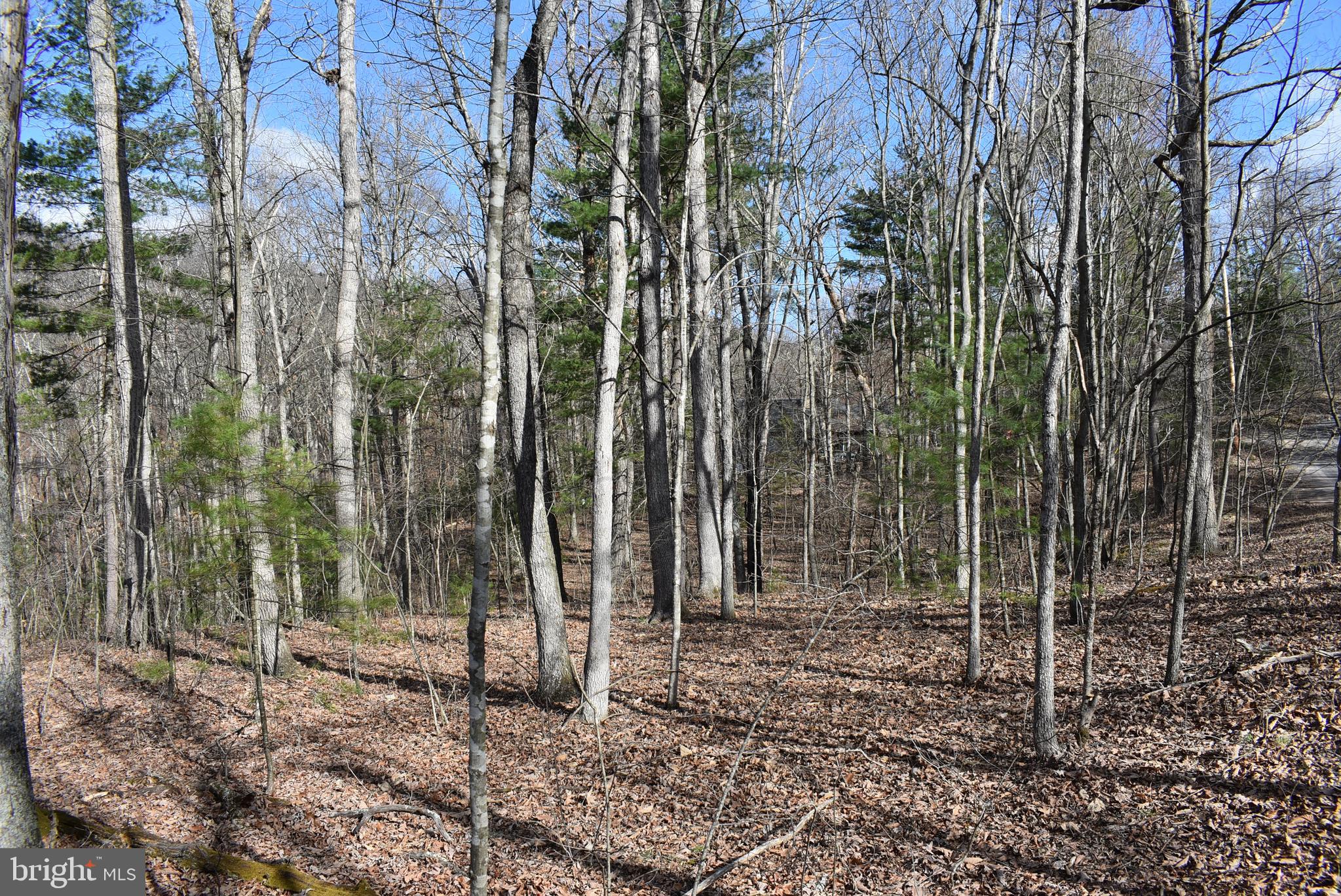 SLEEPY CREEK FOREST - Land
