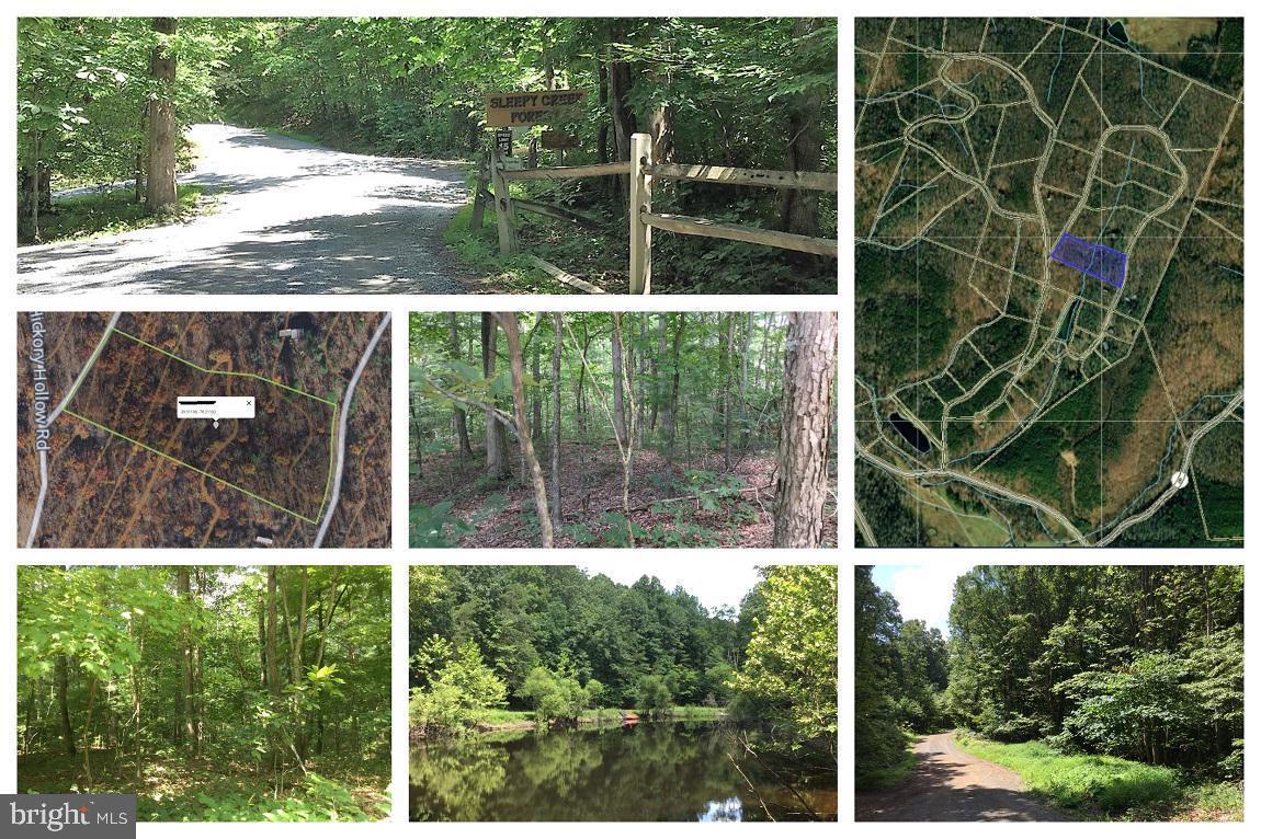 SLEEPY CREEK FOREST - Land