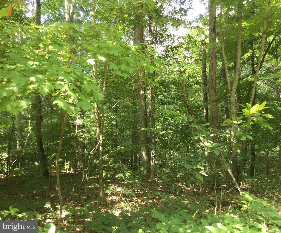 SLEEPY CREEK FOREST - Land