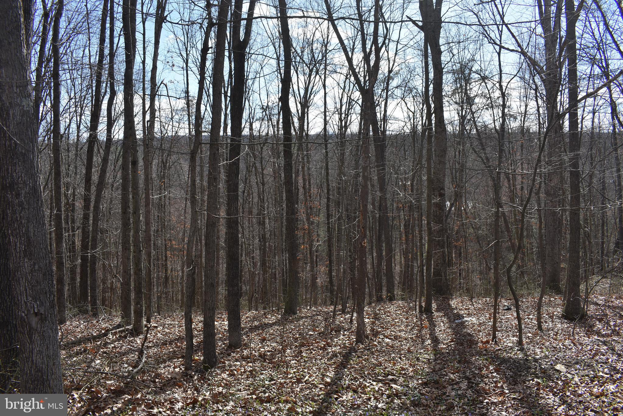 SLEEPY CREEK FOREST - Land